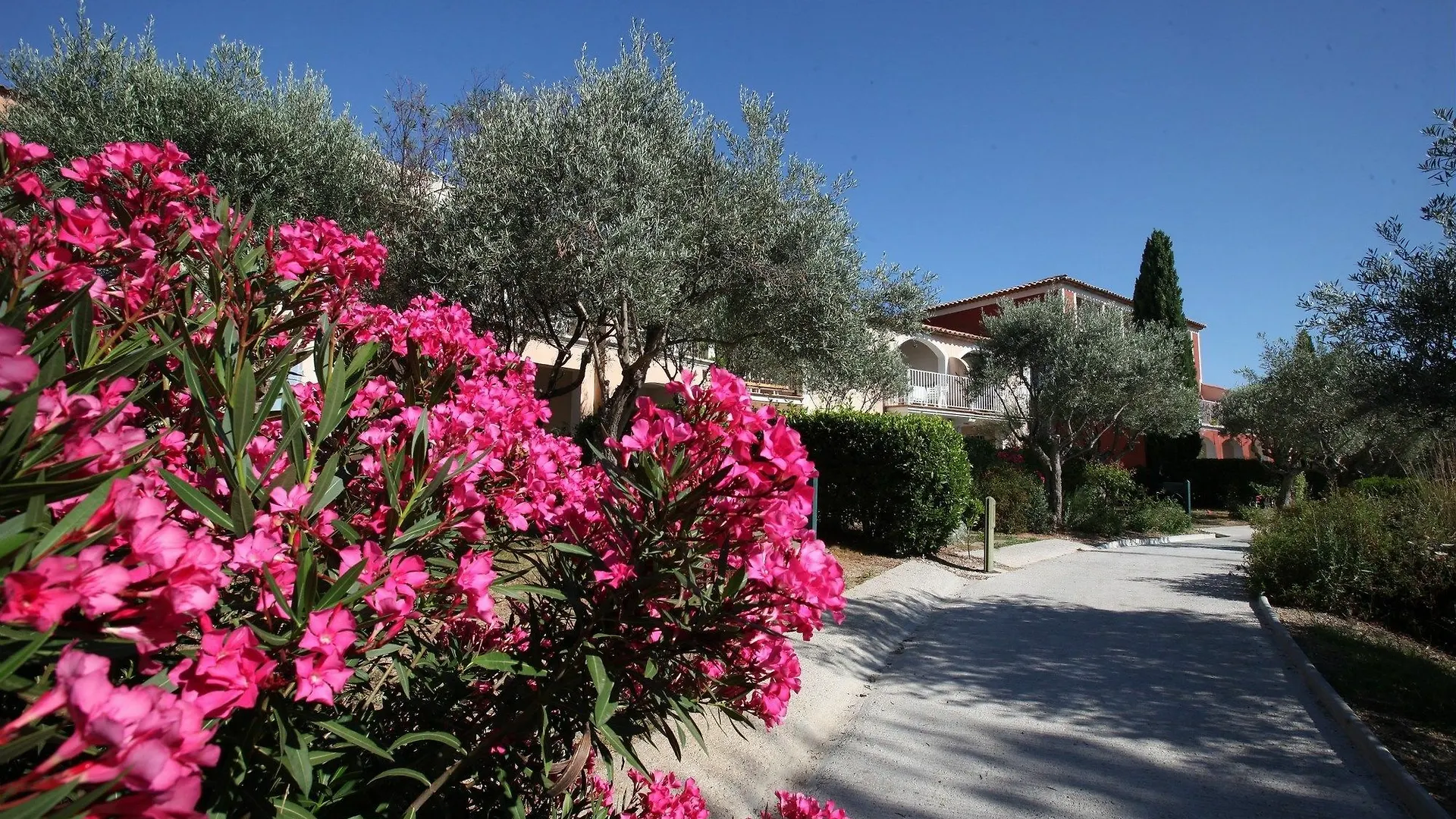 Village Pierre & Vacances - Les Restanques Du Golfe De Saint Grimaud Apartment